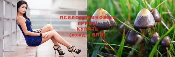 дурь Алзамай
