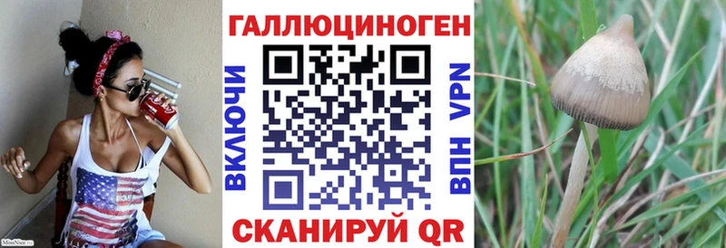 mega маркетплейс  Кингисепп  Галлюциногенные грибы прущие грибы 